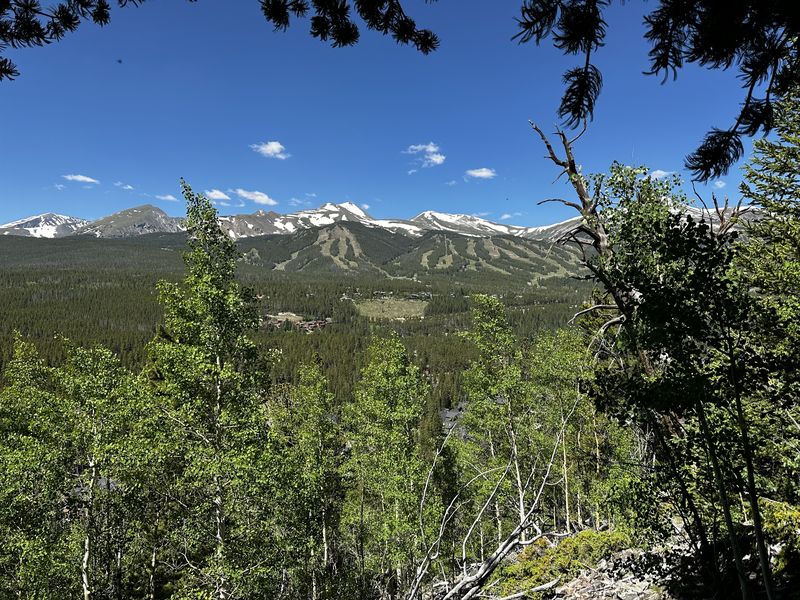 Breckenridge ski area through the summer trees from above