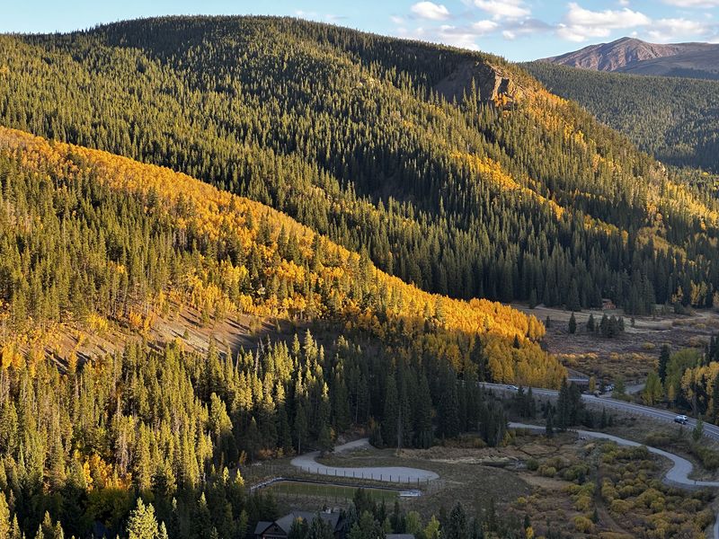 Golden aspen hillsides and winding road in autumn