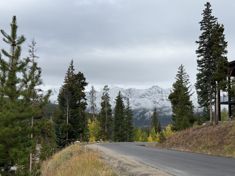 Road toward snow-capped mountains with autumn aspens