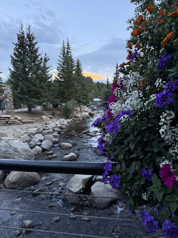 Hanging flower basket with mountain sunset behind