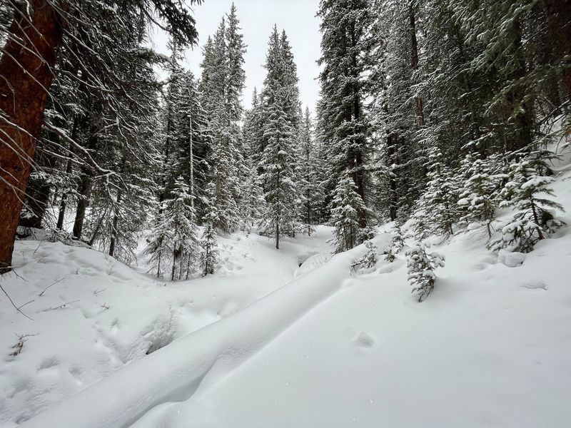 Deep snow trail through the forest with footprints